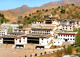 ���ɹŰ�ͷ�嵱��